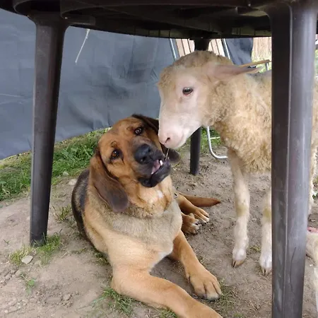 Prázdninový dům Gazdova *